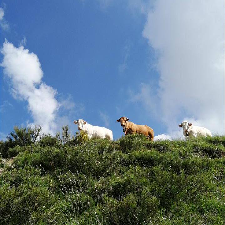 Photo de l'entreprise : Jérôme Albrand