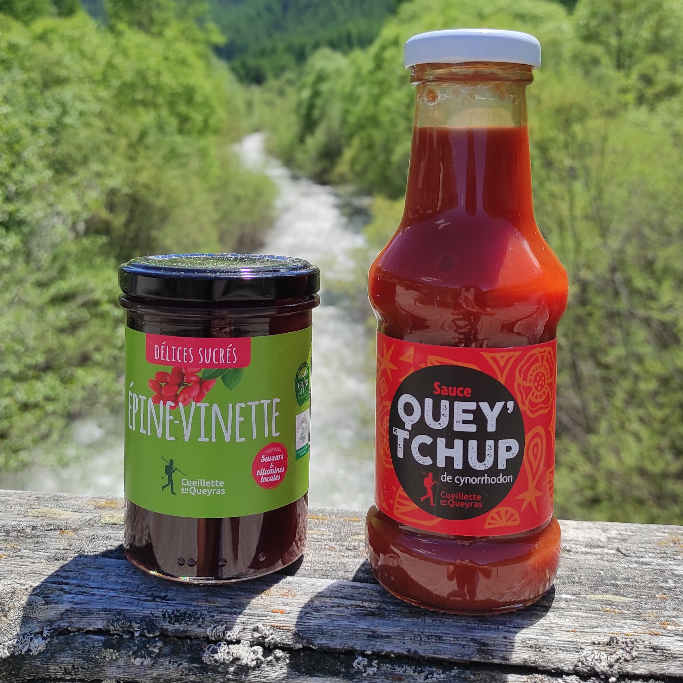 Photo de l'entreprise : Cueillette en Queyras