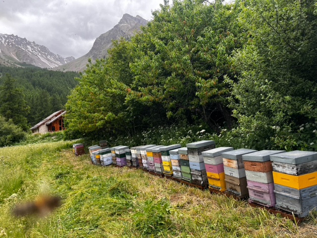 Photo de l'entreprise : Les Abeilles de Lucie
